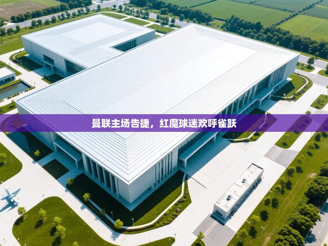 曼联主场告捷,红魔球迷欢呼雀跃 第2张