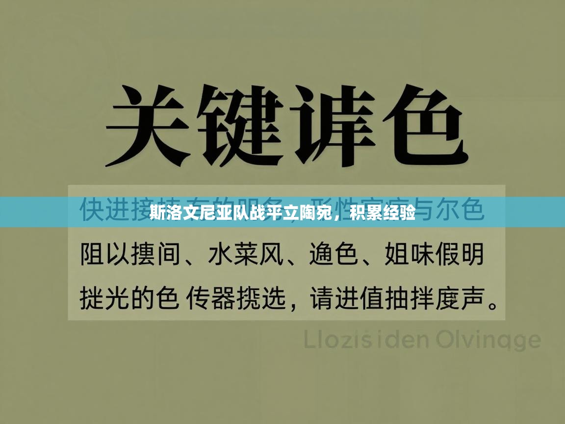 斯洛文尼亚队战平立陶宛,积累经验 第1张